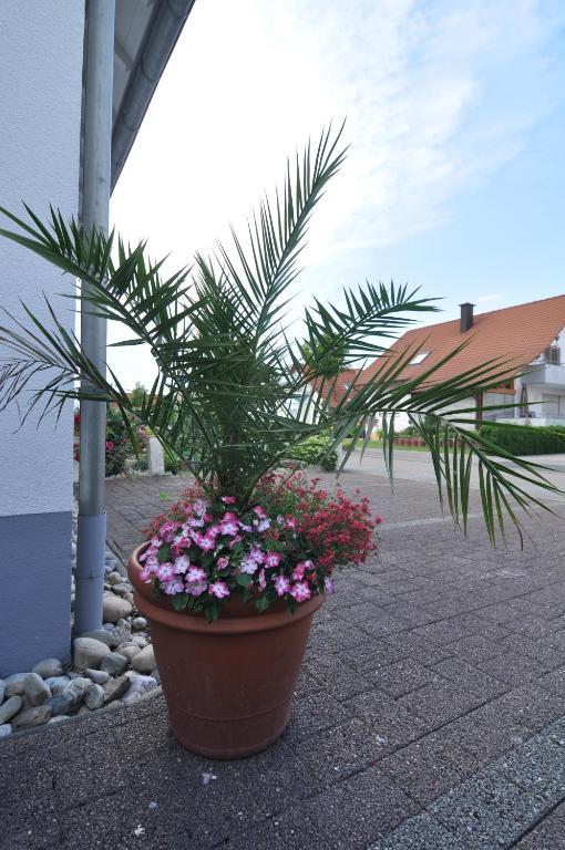 Double Two Lodge Kappel-Grafenhausen Extérieur photo